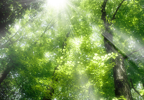 トップヒートバリアー遮熱工法